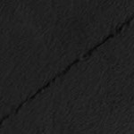 minky fleece: black