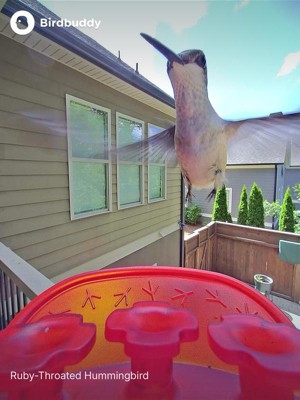 Guest review image 4 of 6, zoom in