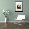 Trademark Fine Art -John James Audubon 'Snowy Heron' Matted Framed Art - 3 of 4