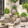Indoor/Outdoor Weathered Planter Gray – Threshold™ designed with Studio McGee - image 2 of 4