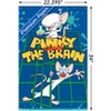 Trends International Pinky And The Brain - Key Art Unframed Wall Poster Prints - 3 of 4