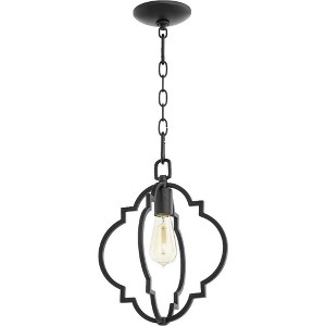 Quorum Lighting Dublin 1-Light Pendant, Noir, 11W, 14H, Chain Hanging, Dry Rated - 1 of 1