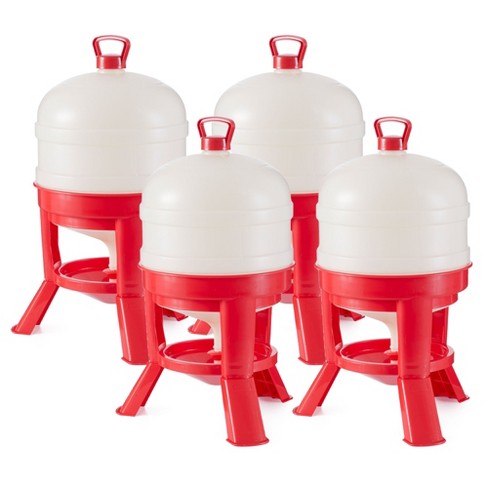 Little Giant DOMEWTR8 8 Gallon Tank Heavy Duty Plastic Dome Poultry and  Chicken Gravity Water Dispenser with 3 Footed Stand, Red (4 Pack)