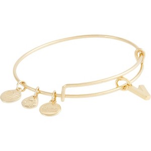 Alex and Ani Expandable Bangle for Women, Initials A to Z Letter Charms, Shiny Finish, 2 to 3.5 in - 1 of 4