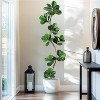 Tall Faux Olive Tree with Black Planter, Indoor Artificial Plant for Home Office & Living Room Decor, Realistic Maintenance-Free Greenery - 2 of 4