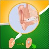 Debrox Earwax Removal Kit with Ear Drops & Bulb Ear Syringe - 0.5 fl oz - image 3 of 4