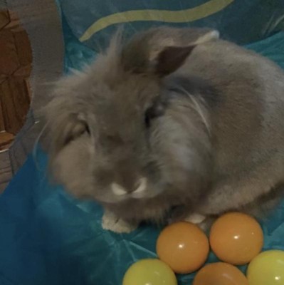 B. Play - Ball Pit With Balls - Mini Playspace : Target