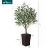DR.Planzen 5-8FT Adjustable Artificial Olive Tree - UV Resistant Fake Plant in 15.7-22.7" Tall Planter (B/W/Coffee) for Indoor/Outdoor - 3 of 4