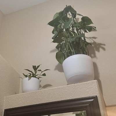 Guest review image 1 of 3, zoom in