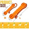 Allforpaws Interactive Floating stick Dog Toy, Made of TPR - 2 of 4