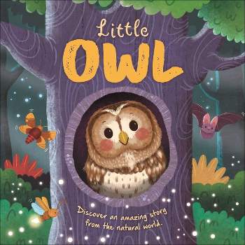 Nature Stories: Little Owl-Discover an Amazing Story from the Natural World - by  Igloobooks & Rose Harkness (Board Book)