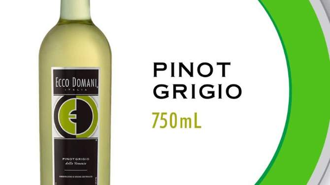 Ecco Domani Italian Pinot Grigio White Wine - 750ml Bottle, 2 of 8, play video