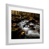 Stupell Industries Fallen Leaves on Stream Framed Print Under Glass - 2 of 4