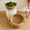 Plum & Post Seagrass Shallow Baskets With Handles, Set Of 3 - 3 of 4