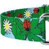 Country Brook Petz Martingale Dog Collar - Summer Breeze Collection - 4 of 4