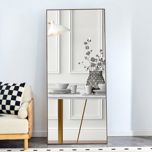FONTOI Floor Standing Mirror with Stand, Wall Mounted Hanging Mirror, Makeup Mirror, Dressing Mirror for Bedroom, Cloakroom, Clear, 1"*31.4"*71" - 1 of 4