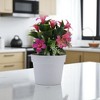 Unique Bargains Artificial Plants Morning Glory Hanging Basket Plastic 3.94"x3.94"x7.87" 1 Pcs - 2 of 4