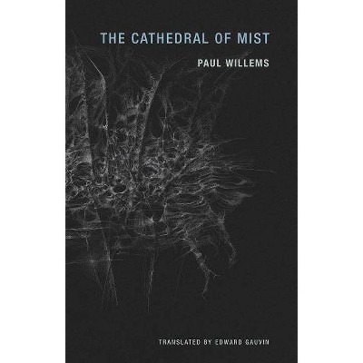 The Cathedral of Mist - by  Paul Willems (Paperback)