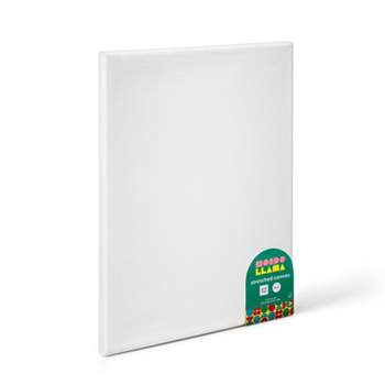 Open- 1 scuffed- 6pk 8x10 Canvas Boards - Mondo Llama - D3 Surplus Outlet
