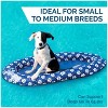 SwimWays Paddle Paws Spring Float Dog Raft for Small to Medium Dogs, 0-65 lbs, Durable Puncture-Resistant, Portable Pool Float with Carry Bag, 48"x27" - 4 of 4