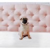 Inspire Super and Ultra Absorbent Disposable Bed Pads (23" X 36" Reusable 2 Pack) - 2 of 4