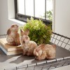 Weathered Terracotta Bunny Statues – Assorted Spring Decor by Melrose - 2 of 3