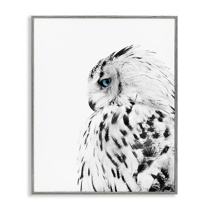 Stupell Industries Snow Owl Peering Blue Eyes Framed Giclee Art - 1 of 4