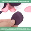 Unique Bargains Silk Decoration Reusable Artificial Flower Rose Petals 1.38" x 1.38" 600 Pcs - 4 of 4