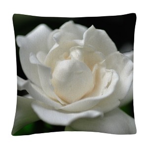 Kurt Shaffer - 16 x 16 Decorative Throw Pillow by Trademark Fine Art - 1 of 4