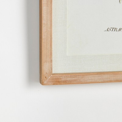 Mid-Summer Blooms Prints with Whitewashed Wood Frames, Set of 6
