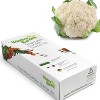 Window Garden - Cauliflower Vegetable Starter Kit - image 2 of 4