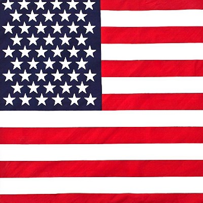 usa flag