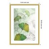 Amanti Art Ginkgo II by Eva Watts Wood Framed Wall Art Print - 4 of 4