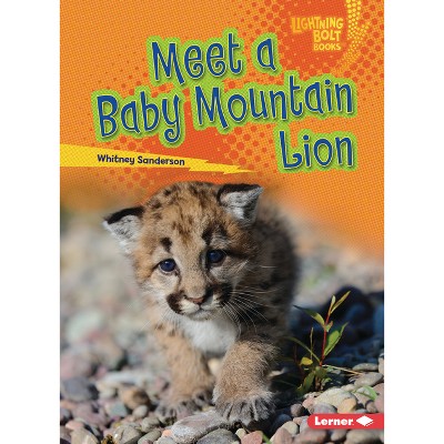 Meet a Baby Mountain Lion - (Lightning Bolt Books (R) -- Baby North American Animals) by  Whitney Sanderson (Paperback)