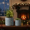 Winter Stone Planter Container Set 3.5 to 5 inch Height – Blue White Decorative Pots by Melrose - 3 of 3