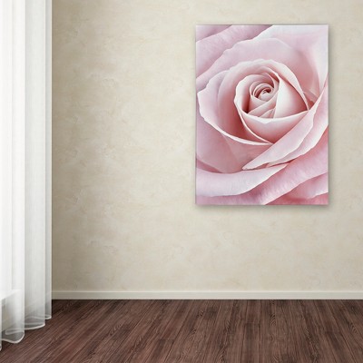 Large Pale Pink Rose Abstract Canvas Art
