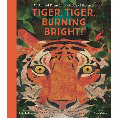 Tiger, Tiger, Burning Bright! - by  Nosy Crow (Hardcover)