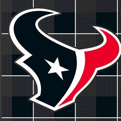 houston texans