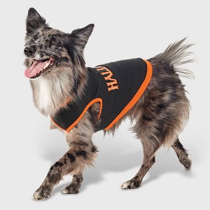 Halloween Dog and Cat Sweatshirt - Hyde and EEK! Boutique™ - 1 of 3