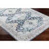 Livabliss Lavadora Woven Indoor Area Rugs - 4 of 4