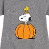 - Peanuts - Snoopy Woodstock Pumpkin Graphic Short Sleeve Fleece Dress - 2 of 4