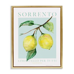 Stupell Industries Sorrento Lemon Branch Floating Frame Canvas Art - 1 of 4