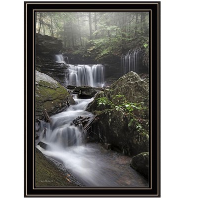 HomeRoots Ricketts Waterfall Black Framed Print Wall Art