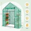 EAGLE PEAK Walk in 3-Tier Greenhouse with Wire Shelves, Portable Green House with 4 Shelves, Clear/Green PE Cover - 3 of 4