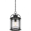 Quoizel Lighting Booker 1 - Light Pendant in  Mystic Black - 3 of 4