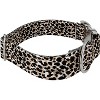 Country Brook Petz HossFit Jr Wide Premium  Dog Collar - Animal Print Collection - 3 of 4