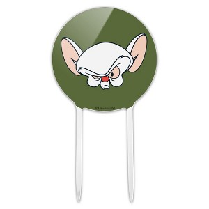 Pinky and the Brain The Brain Head Acrylic Cake Topper - 1 of 4