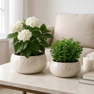 Decorative Flower Pots and Planters for Home Decor - Round Ceramic ...