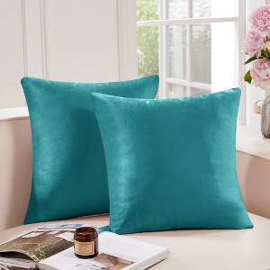 Deconovo Home Velvet Soft Decorative Pillow Covers Invisible Zipper Cushion Cover, 2-Pack - 1 of 4