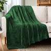 PAVILIA Plush Knit Throw Blanket for Couch Sofa Bed, Super Soft Fluffy Fuzzy Lightweight Warm Cozy All Season - 3 of 4